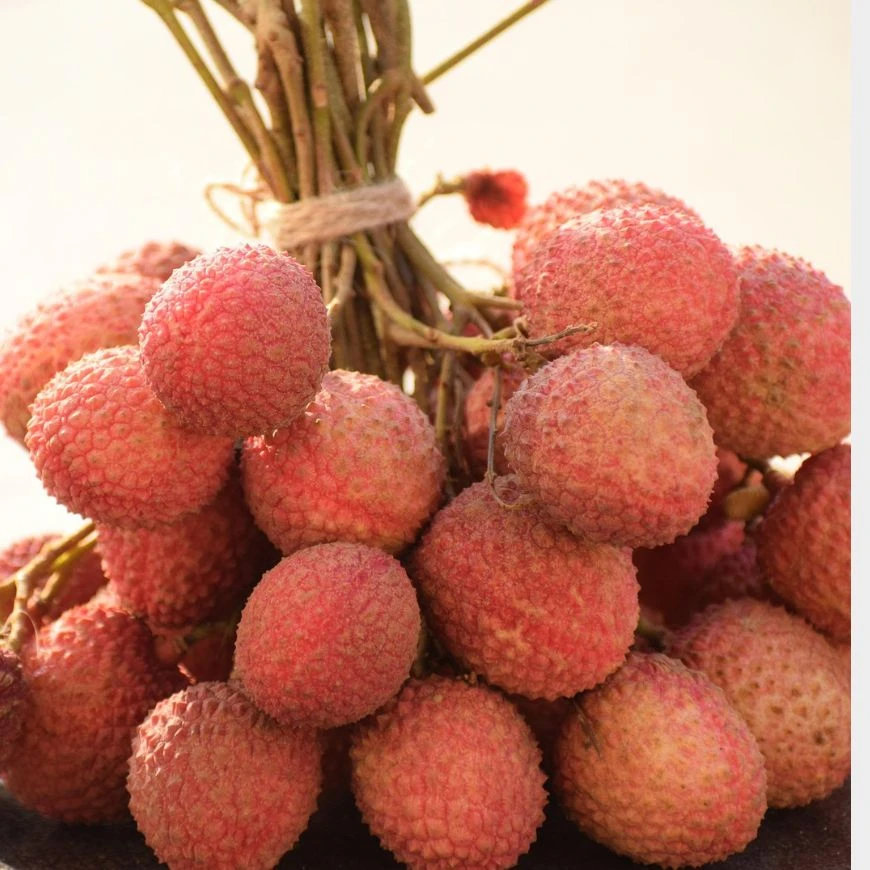 Mithila Cluster Products